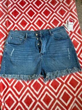 Frayed Hem Mid-Rise Denim Shorts in Blue